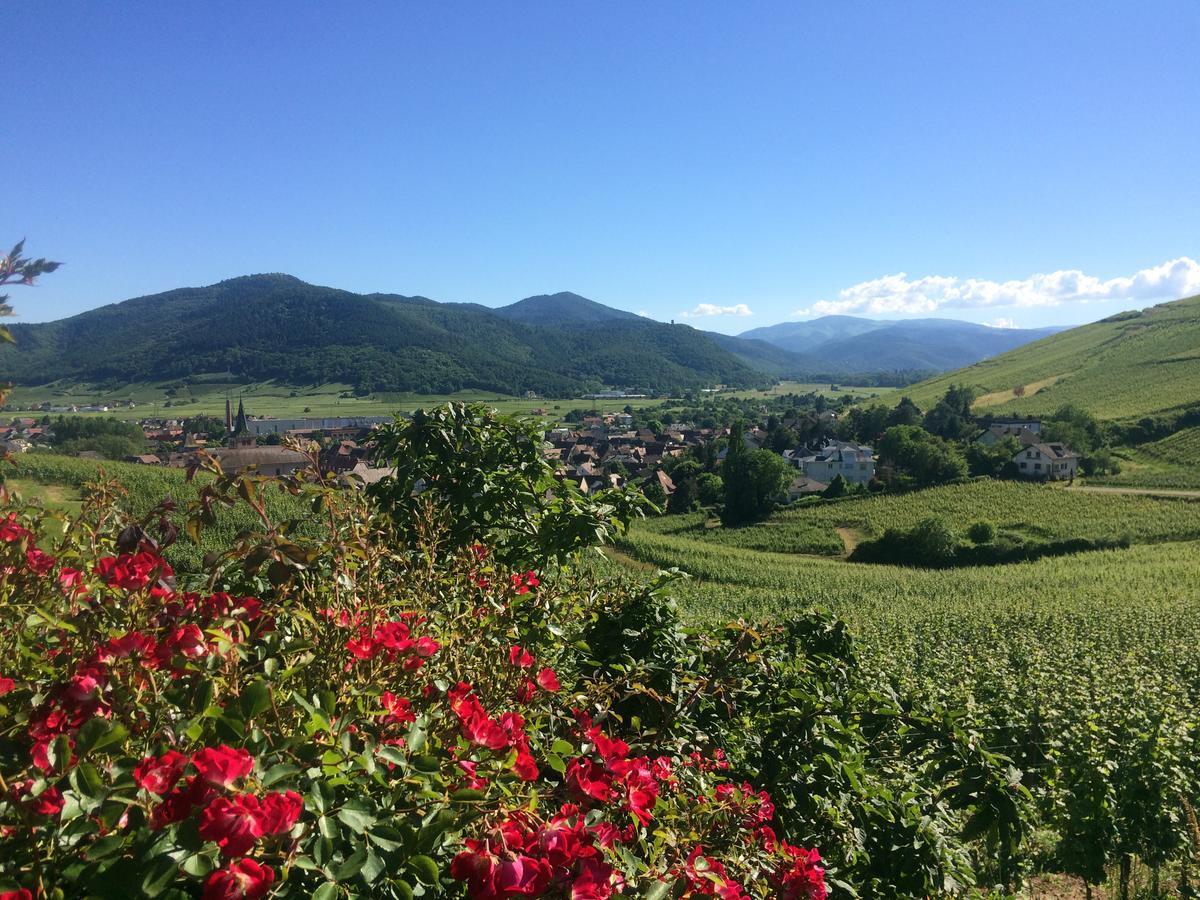 Camping Le Medieval Hotel Turckheim Bagian luar foto